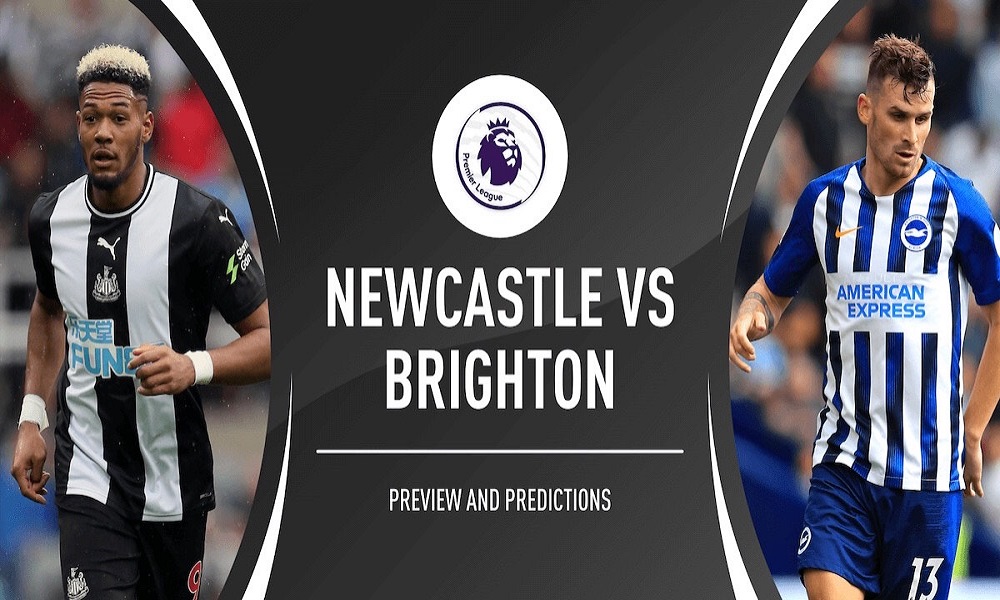 Dự đoán kết quả trận thể thao Newcastle vs Brighton