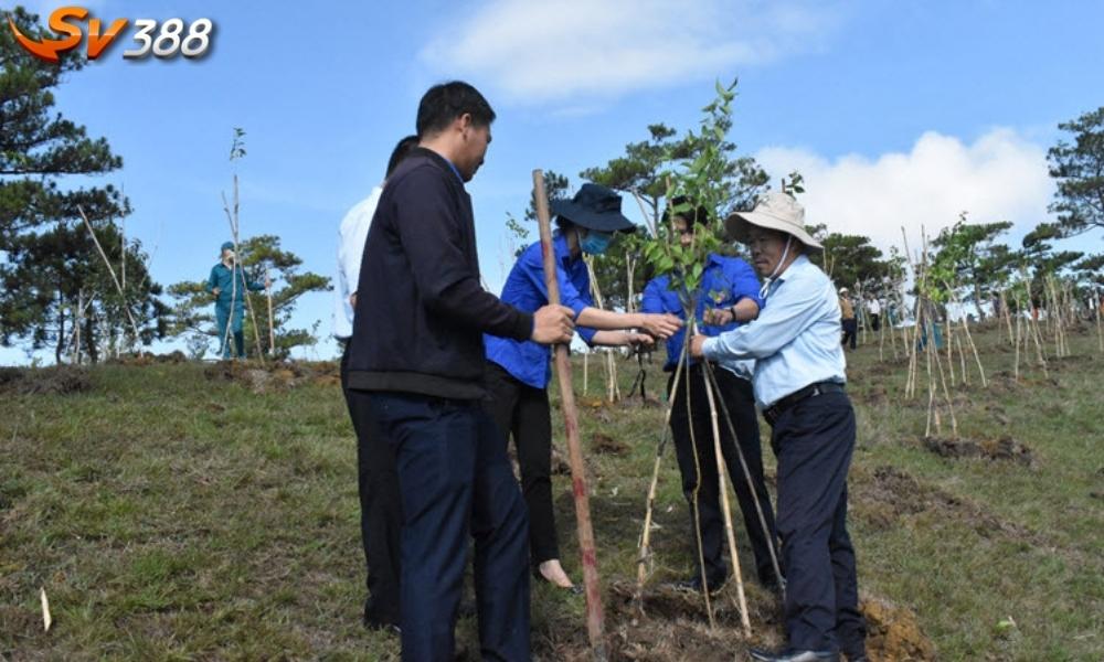 Đá Gà SV388 tổ chức chương trình tặng 1000 cây xanh